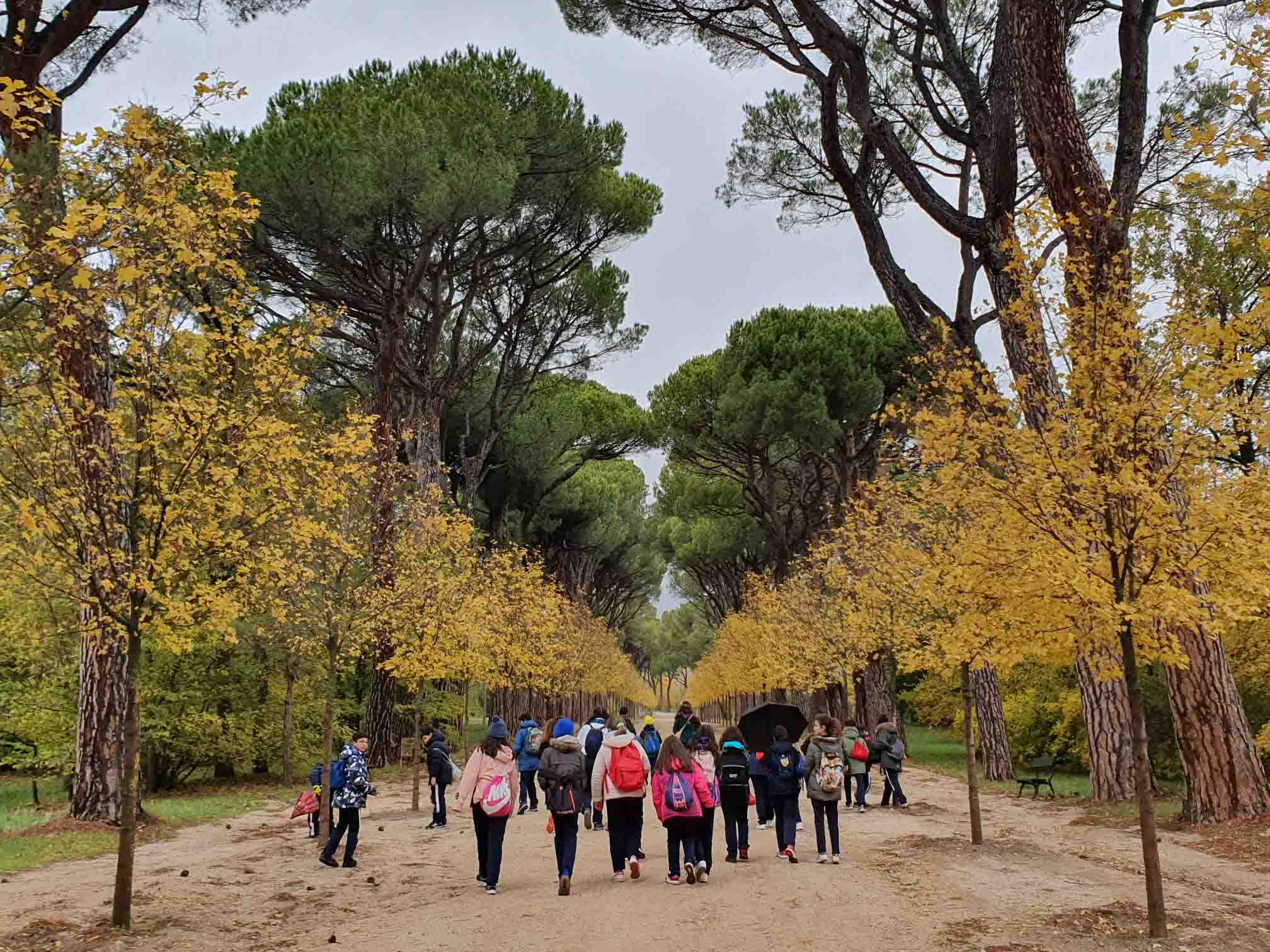 Colegio Paseo del Príncipe