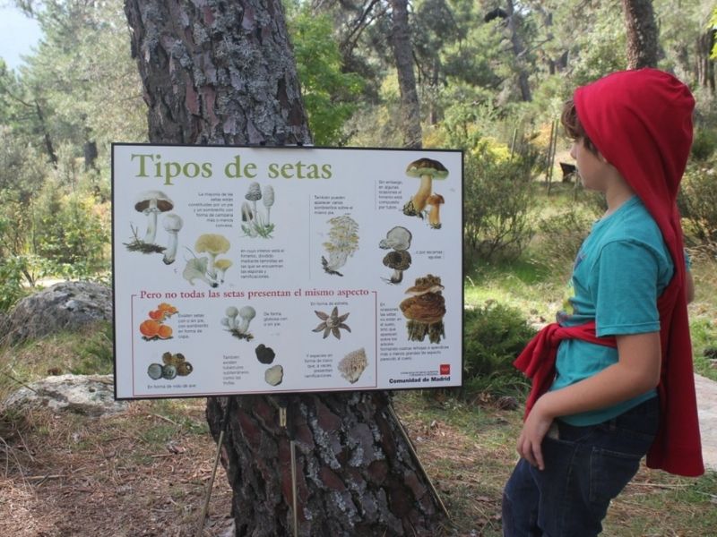 Tesoros de Abantos